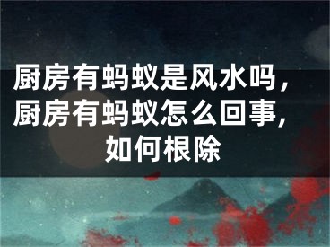 厨房有蚂蚁是风水吗，厨房有蚂蚁怎么回事,如何根除