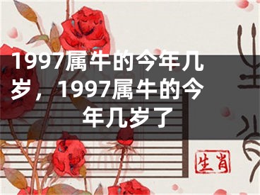 1997属牛的今年几岁，1997属牛的今年几岁了