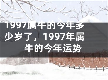 1997属牛的今年多少岁了，1997年属牛的今年运势