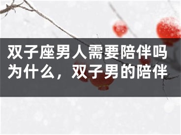 双子座男人需要陪伴吗为什么,双子男的陪伴