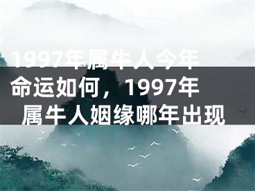 1997年属牛人今年命运如何，1997年属牛人姻缘哪年出现