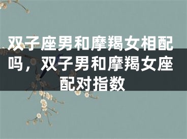 双子座男和摩羯女相配吗，双子男和摩羯女座配对指数