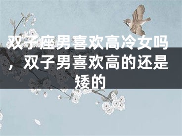 双子座男喜欢高冷女吗，双子男喜欢高的还是矮的