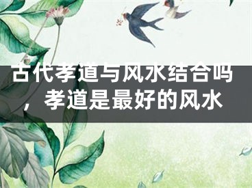 古代孝道与风水结合吗,孝道是最好的风水