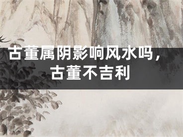 古董属阴影响风水吗,古董不吉利