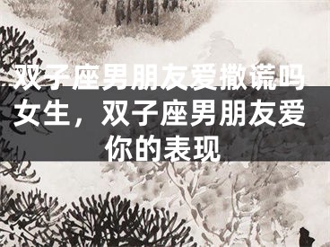 双子座男朋友爱撒谎吗女生,双子座男朋友爱你的表现