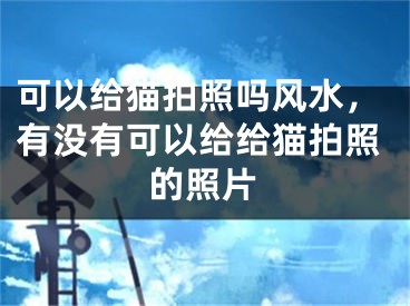 可以给猫拍照吗风水,有没有可以给给猫拍照的照片