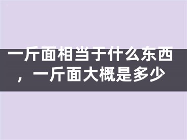 一斤面相当于什么东西,一斤面大概是多少