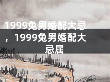 1999兔男婚配大忌，1999兔男婚配大忌属
