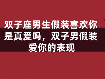 双子座男生假装喜欢你是真爱吗,双子男假装爱你的表现