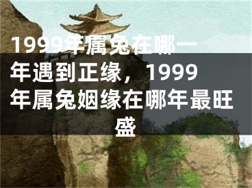 1999年属兔在哪一年遇到正缘,1999年属兔姻缘在哪年最旺盛