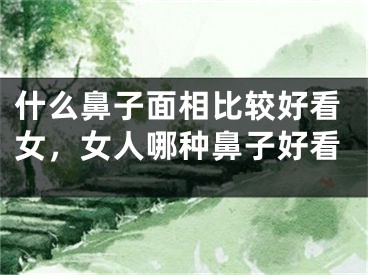 什么鼻子面相比较好看女,女人哪种鼻子好看