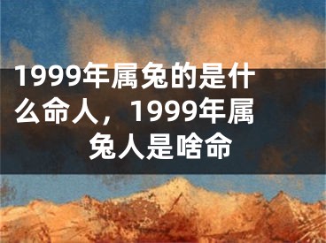 1999年属兔的是什么命人，1999年属兔人是啥命
