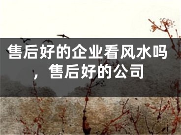 售后好的企业看风水吗，售后好的公司