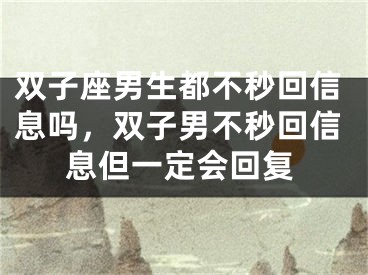 双子座男生都不秒回信息吗,双子男不秒回信息但一定会回复
