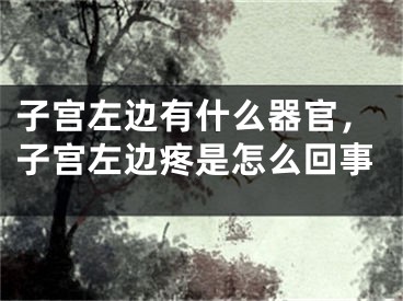 子宫左边有什么器官，子宫左边疼是怎么回事