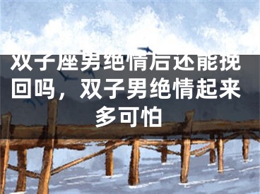 双子座男绝情后还能挽回吗,双子男绝情起来多可怕