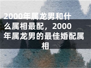 2000年属龙男和什么属相最配,2000年属龙男的最佳婚配属相