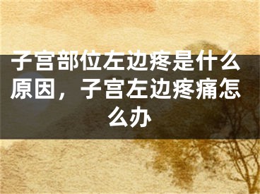 子宫部位左边疼是什么原因,子宫左边疼痛怎么办