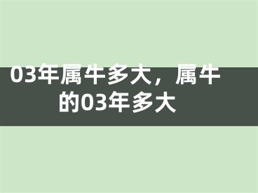 03年属牛多大,属牛的03年多大
