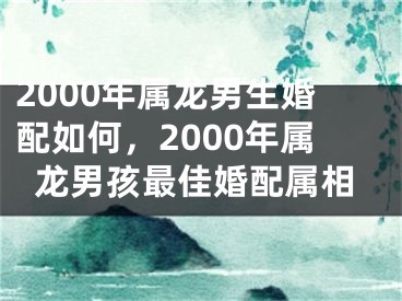 2000年属龙男生婚配如何,2000年属龙男孩最佳婚配属相