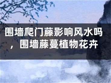 围墙爬门藤影响风水吗,围墙藤蔓植物花卉