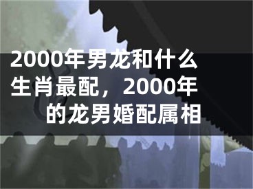 2000年男龙和什么生肖最配，2000年的龙男婚配属相