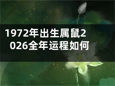 1972年出生属鼠2026全年运程如何