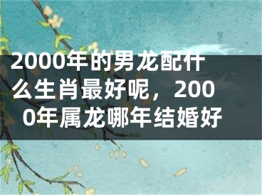 2000年的男龙配什么生肖最好呢，2000年属龙哪年结婚好