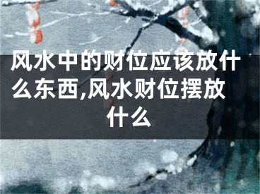 风水中的财位应该放什么东西,风水财位摆放什么