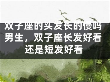 双子座的头发长的慢吗男生，双子座长发好看还是短发好看