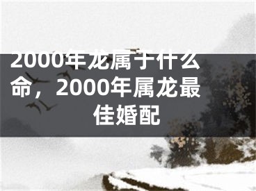 2000年龙属于什么命，2000年属龙最佳婚配