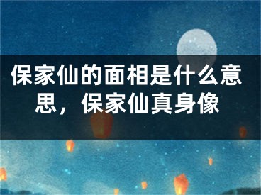 保家仙的面相是什么意思,保家仙真身像