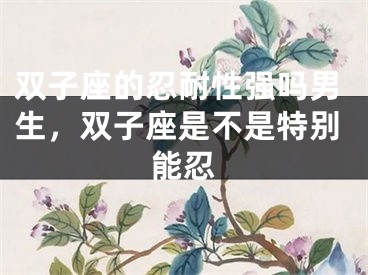 双子座的忍耐性强吗男生，双子座是不是特别能忍