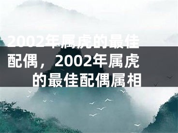 2002年属虎的最佳配偶,2002年属虎的最佳配偶属相