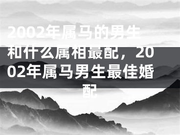 2002年属马的男生和什么属相最配,2002年属马男生最佳婚配
