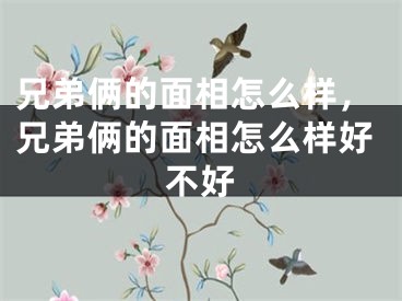 兄弟俩的面相怎么样，兄弟俩的面相怎么样好不好
