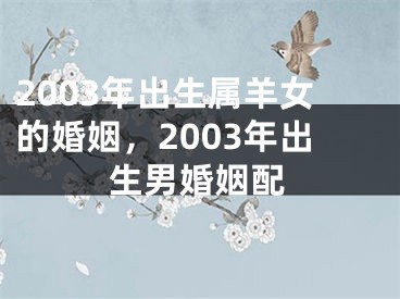 2003年出生属羊女的婚姻，2003年出生男婚姻配