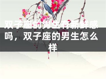 双子座的男生有新鲜感吗，双子座的男生怎么样