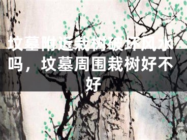 坟墓附近栽树破坏风水吗,坟墓周围栽树好不好