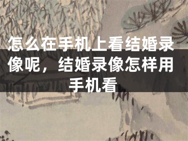 怎么在手机上看结婚录像呢，结婚录像怎样用手机看