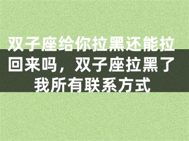 双子座给你拉黑还能拉回来吗，双子座拉黑了我所有联系方式