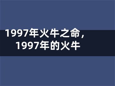 1997年火牛之命，1997年的火牛
