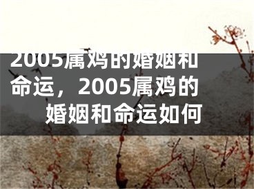 2005属鸡的婚姻和命运,2005属鸡的婚姻和命运如何