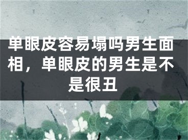 单眼皮容易塌吗男生面相，单眼皮的男生是不是很丑