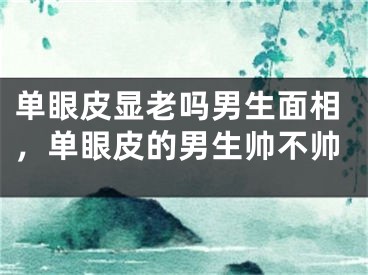 单眼皮显老吗男生面相，单眼皮的男生帅不帅