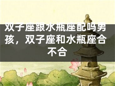 双子座跟水瓶座配吗男孩，双子座和水瓶座合不合