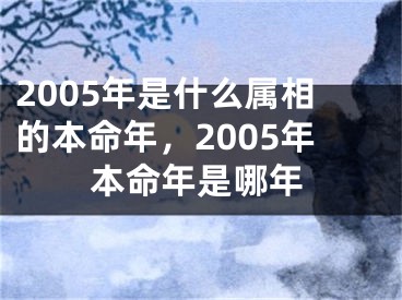 2005年是什么属相的本命年,2005年本命年是哪年