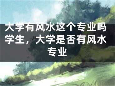 大学有风水这个专业吗学生,大学是否有风水专业
