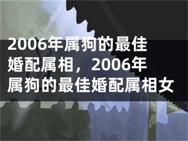 2006年属狗的最佳婚配属相,2006年属狗的最佳婚配属相女